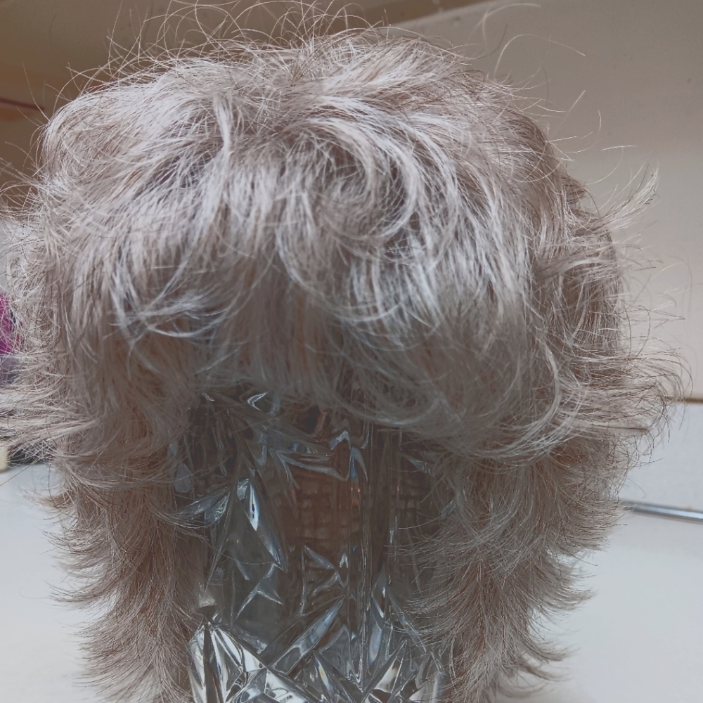 Paula Young Wig